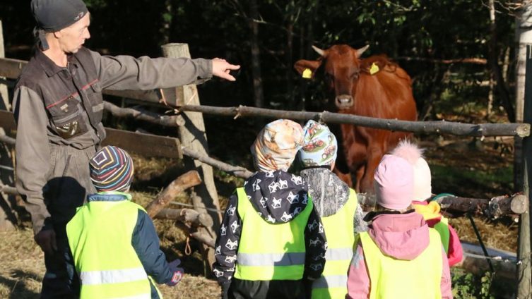 Tilallinen esittelee lapsiryhmälle aitauksessa laiduntavaa ruskeaa lehmää.