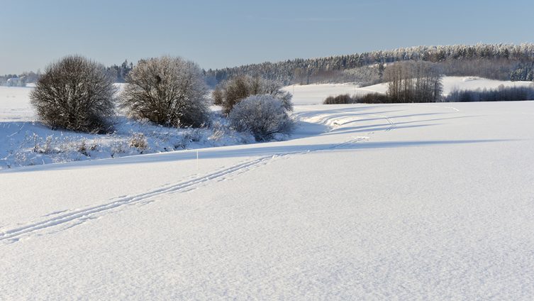 Talvinen maisema siuntio maaseutufi
