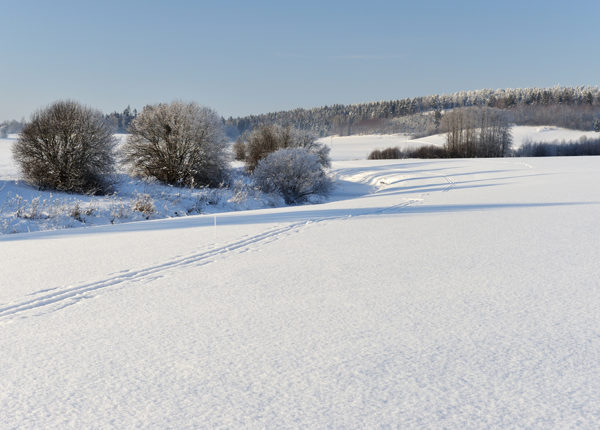 Landskapsreformen sysselsatte tankarna på kommunernas vinterdagar